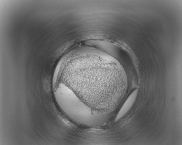 X0000066970393200604142146