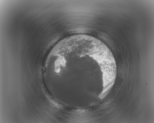 X0000066970394200604142146