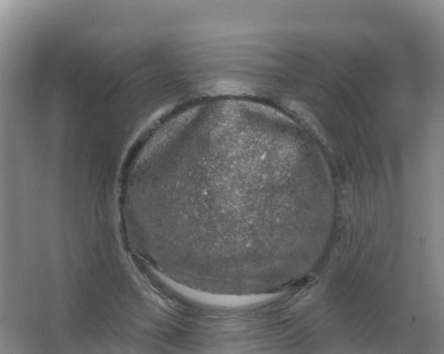 X0000066970395200604142146