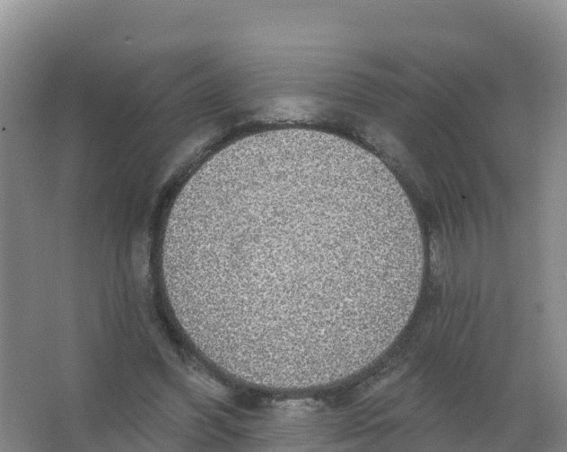 X0000066970396200604142146