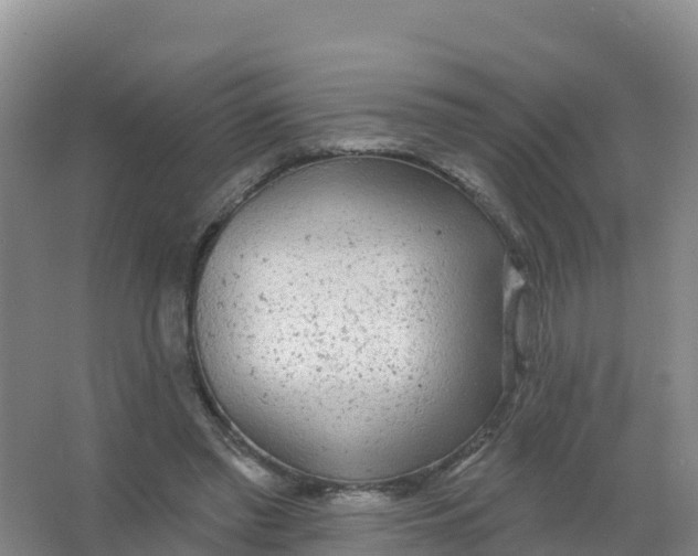 X0000066970397200604142146