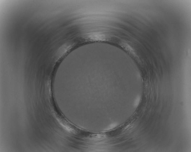 X0000066970398200604142146