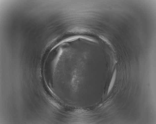 X0000066970399200604142146