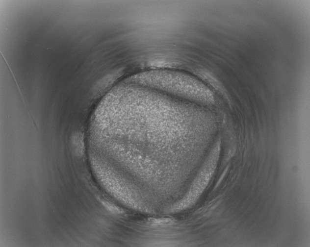 X0000066970401200604142146