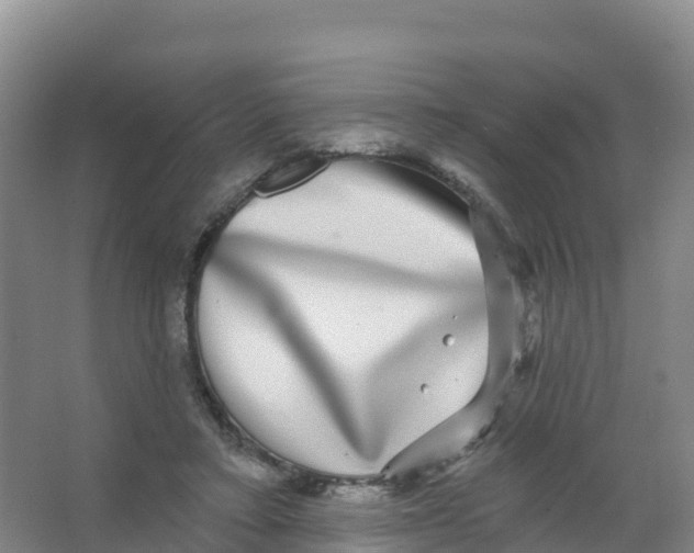 X0000066970403200604142146