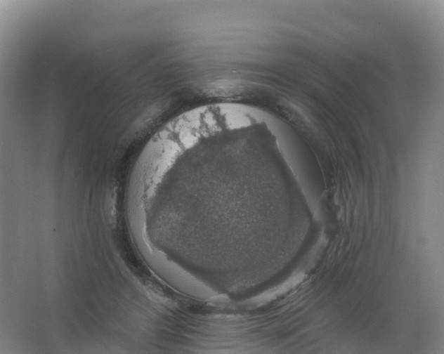 X0000066970404200604142146