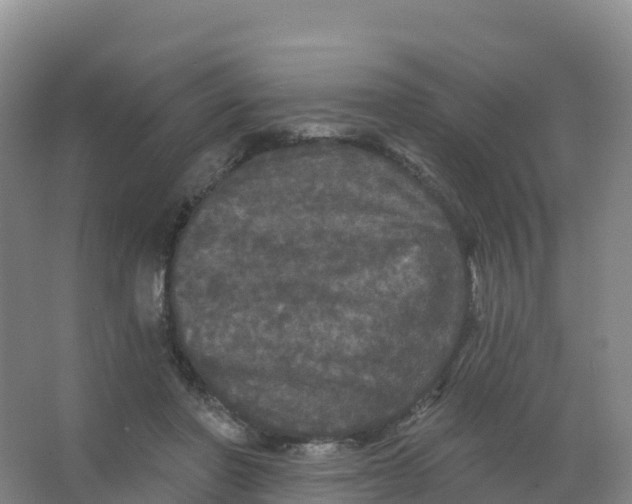 X0000066970406200604142146