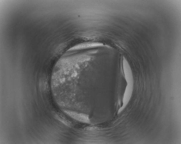 X0000066970408200604142146