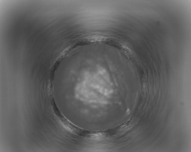 X0000066970411200604142146