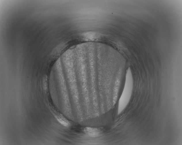 X0000066970413200604142146