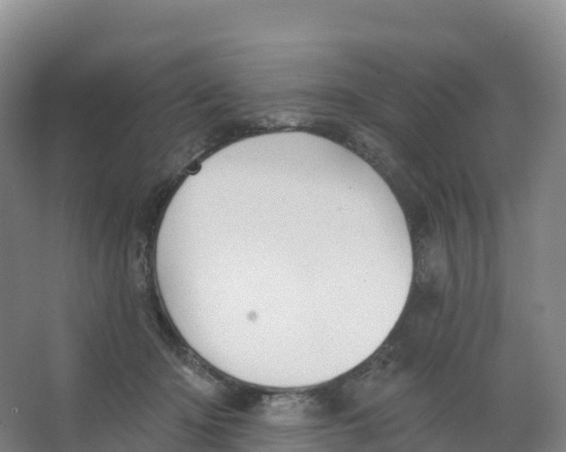 X0000066970414200604142146