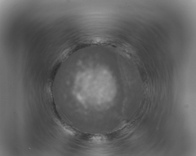 X0000066970415200604142146