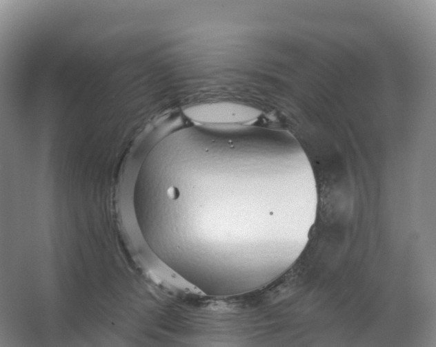 X0000066970416200604142146