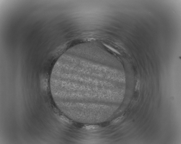 X0000066970417200604142146