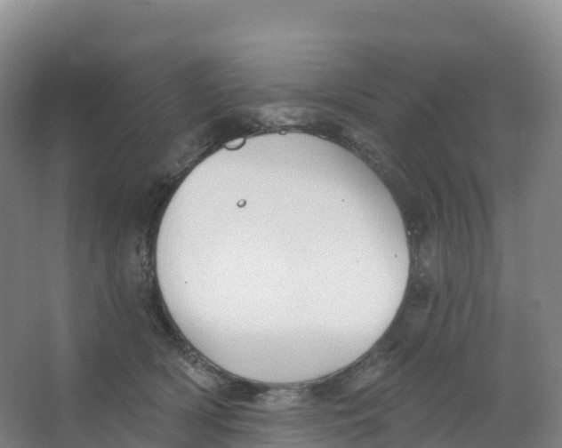 X0000066970418200604142146