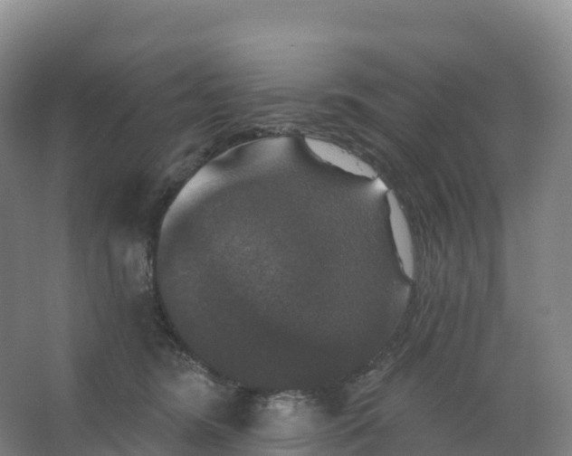 X0000066970420200604142146