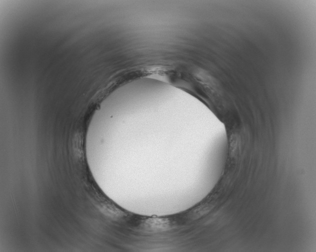 X0000066970421200604142146