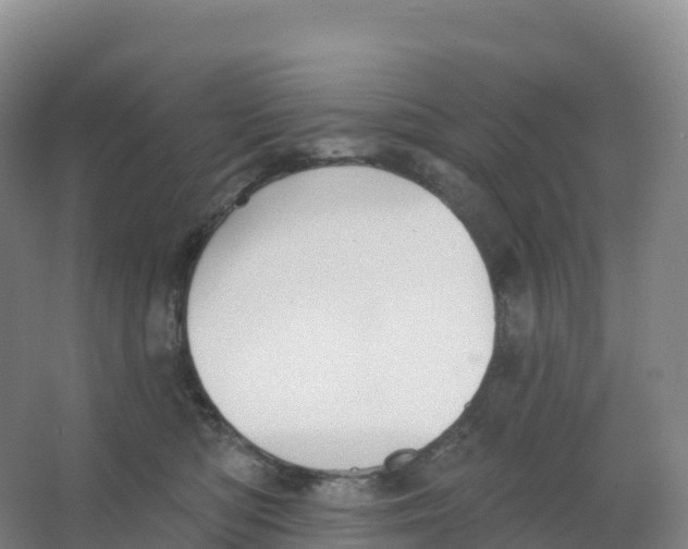 X0000066970422200604142146