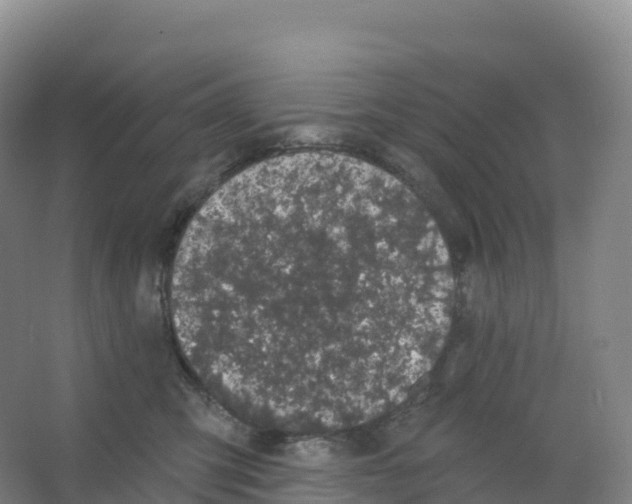 X0000066970423200604142146