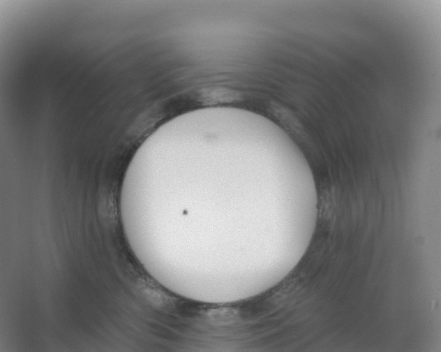 X0000066970426200604142146