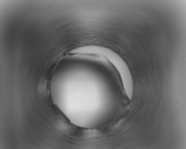 X0000066970428200604142146