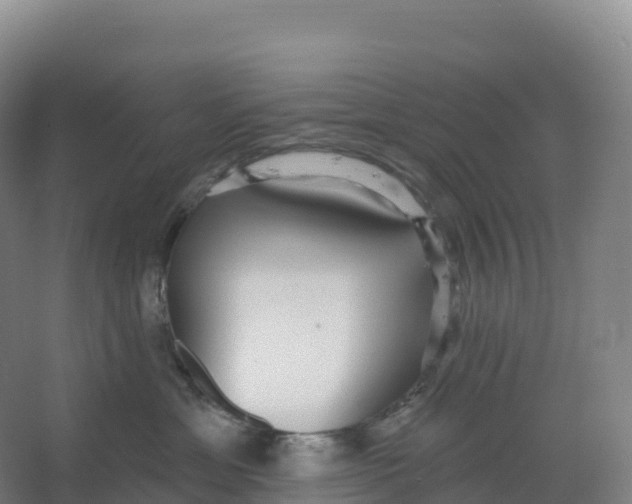 X0000066970429200604142145