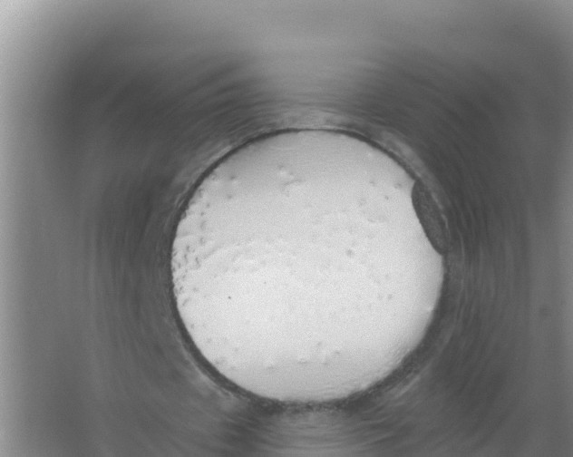 X0000066970433200604142145