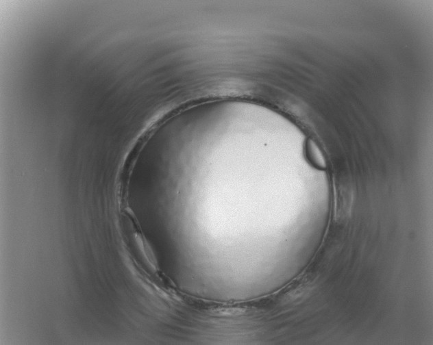 X0000066970435200604142145