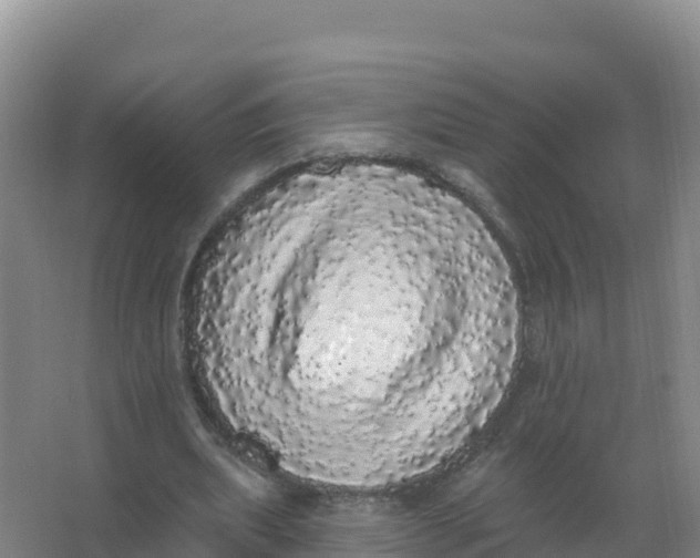 X0000066970439200604142145