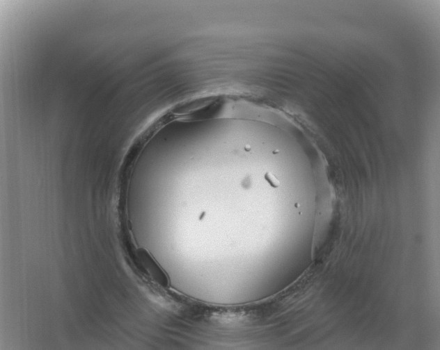 X0000066970440200604142145