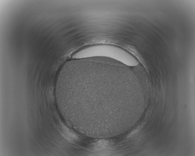 X0000066970441200604142145