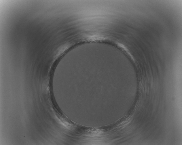 X0000066970443200604142145