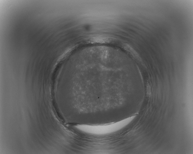 X0000066970444200604142145