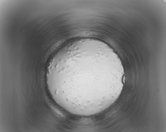 X0000066970445200604142145