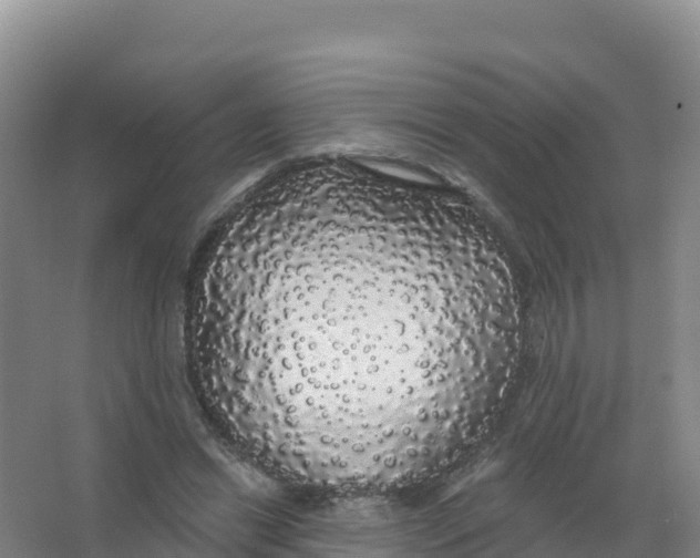 X0000066970446200604142145