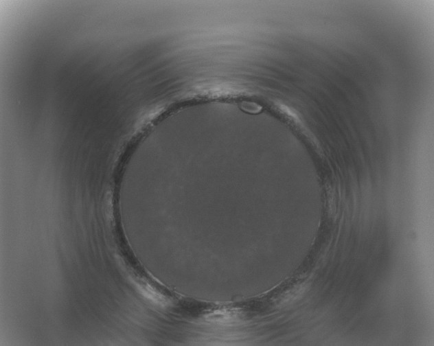 X0000066970447200604142145