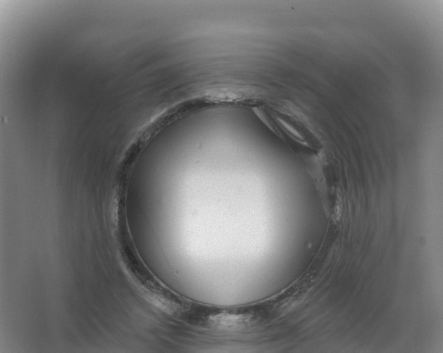 X0000066970448200604142145