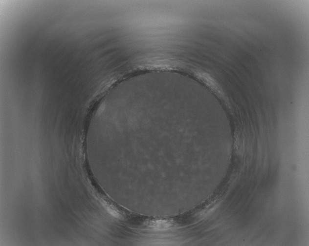 X0000066970449200604142145