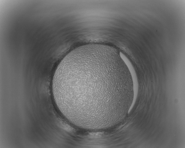 X0000066970450200604142145