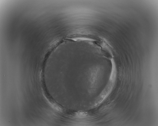 X0000066970451200604142145