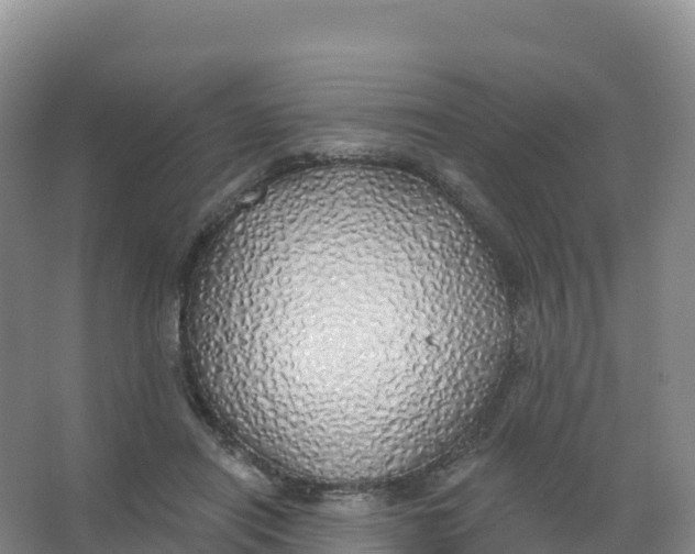 X0000066970454200604142145