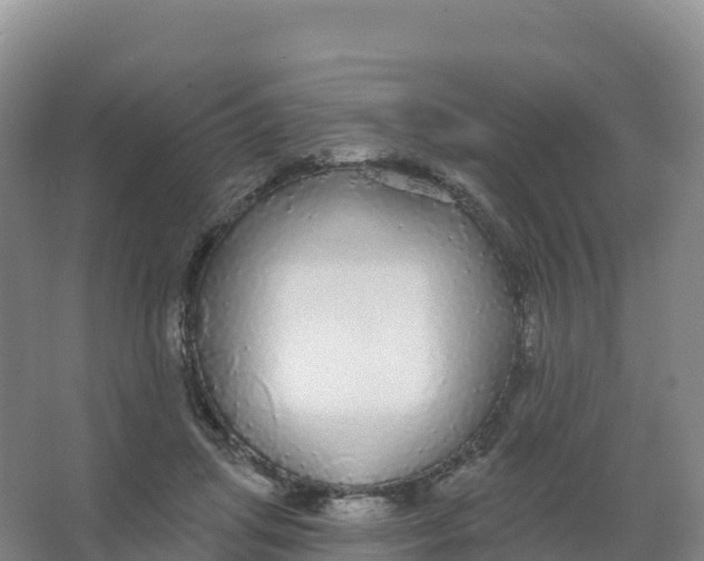 X0000066970455200604142145