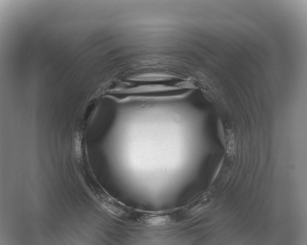 X0000066970456200604142145