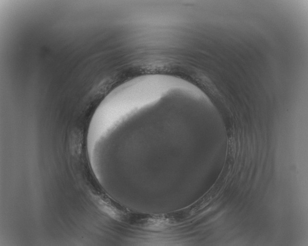 X0000066970458200604142145