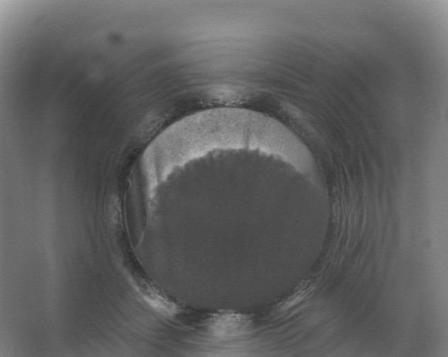 X0000066970459200604142145