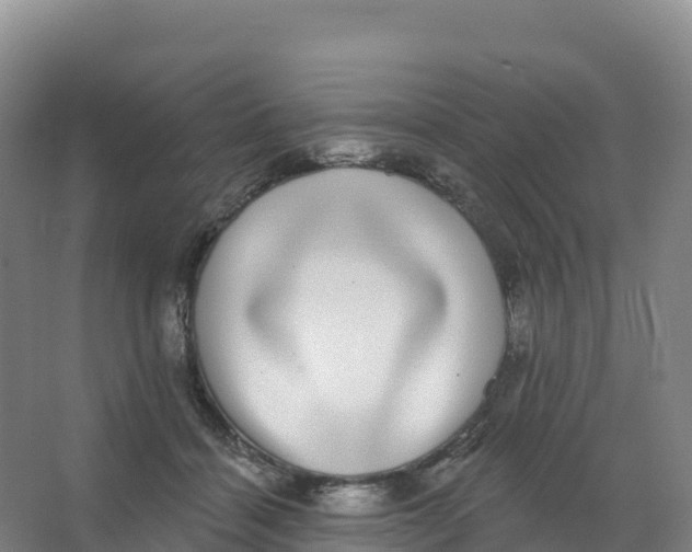 X0000066970460200604142145