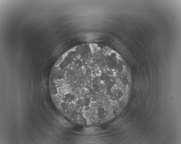 X0000066970461200604142145