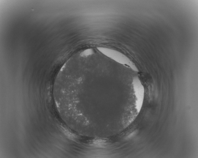 X0000066970462200604142145