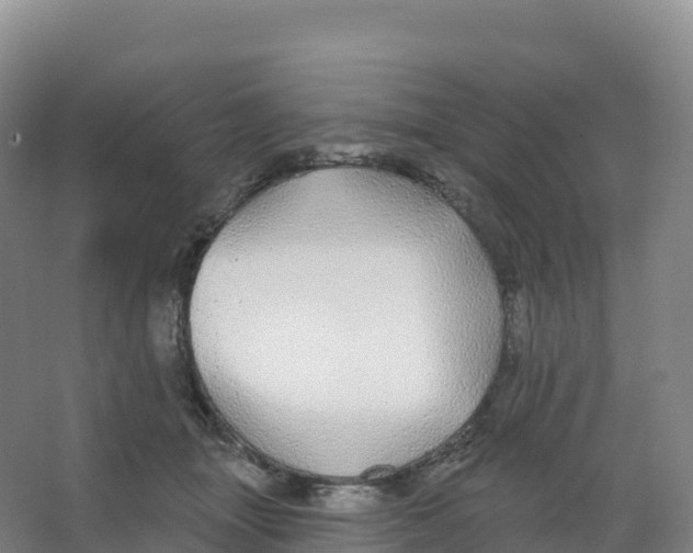 X0000066970463200604142145