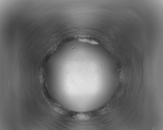 X0000066970464200604142145